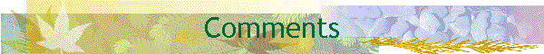 Comments